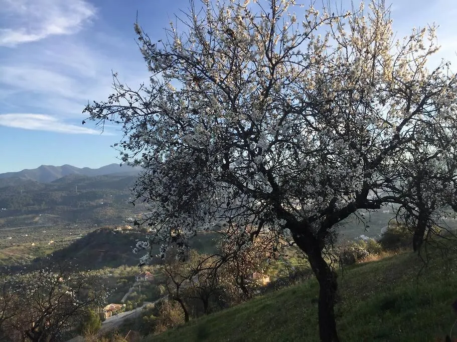 Charming Spanish Finca In Beautiful Nature Malaga