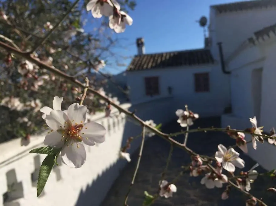 Charming Spanish Finca In Beautiful Nature Malaga Villa